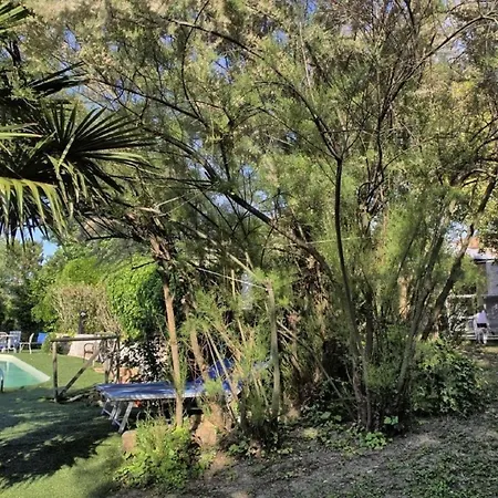 Ferienhaus Casa Glicini Mit Gemeinschaftspool Ostra